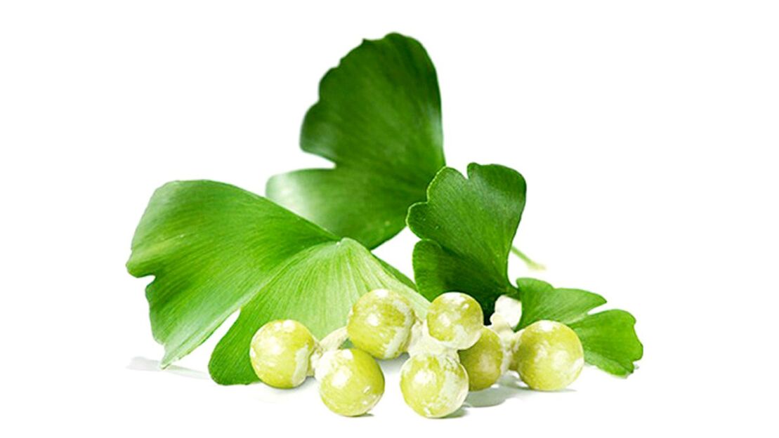 Ginkgo biloba en Osteflex